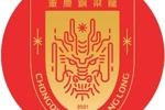 重庆铜梁龙遭引援禁令缘由：重庆两江竞技欠薪+未及时回应邮件